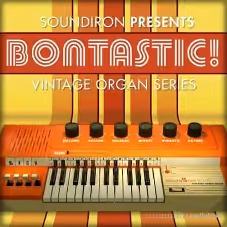 Soundiron Bontastic! [KONTAKT]