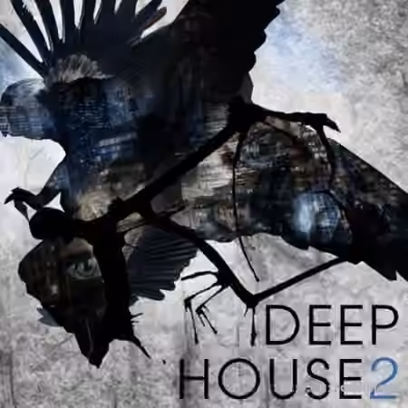 SPF Samplers Deep House 2 [WAV]