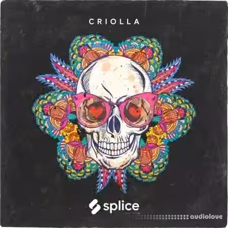 Splice Originals Criolla Latin Percussion [WAV]