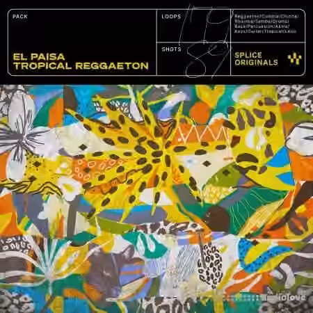 Splice Originals El Paisa Tropical Reggaeton [WAV, Synth Presets]