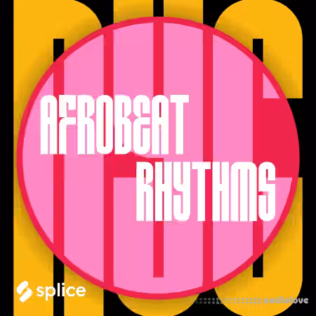 Splice Originals NYC Afrobeat Rhythms [WAV]