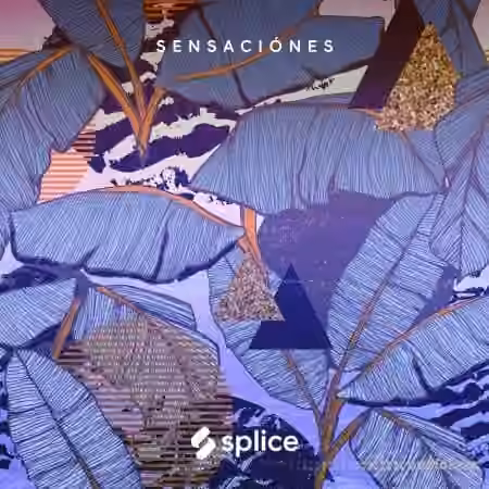 Splice Originals Sensaciones Latin RnB [WAV]