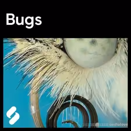 Splice Sounds Explores Bugs [WAV]