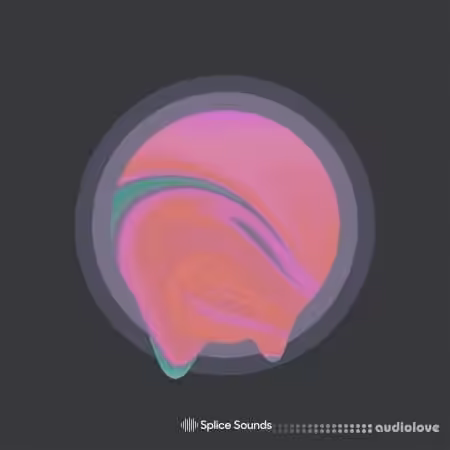 Splice Sounds Gill Chang Words Unspoken Sample Pack [WAV, Synth Presets]
