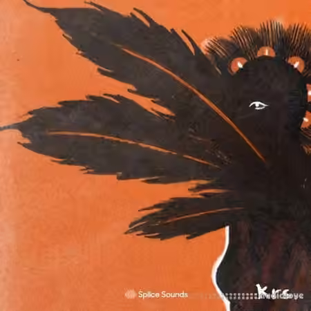 Splice Sounds krs. Build a Vybz Drum Kit Vol.2 [WAV, MiDi]