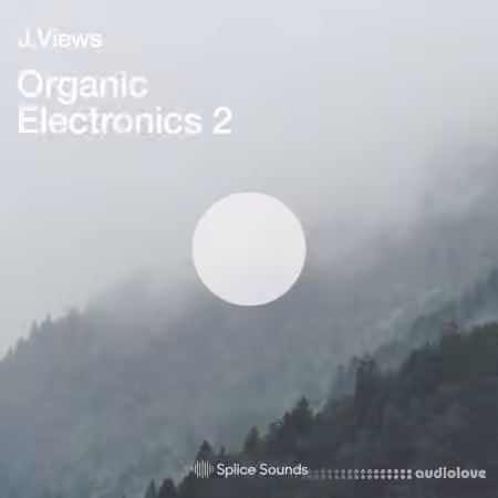 Splice Sounds Organic Electronics 2 by J Views [WAV]