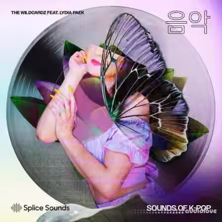 Splice Sounds Wildcardz Feat. Lydia Paek Sounds of K-Pop [WAV]