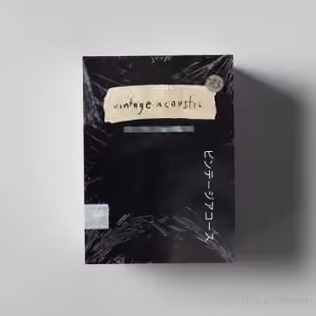 Stoopid Lou Vintage Guitar Sampler Instrument [WAV]