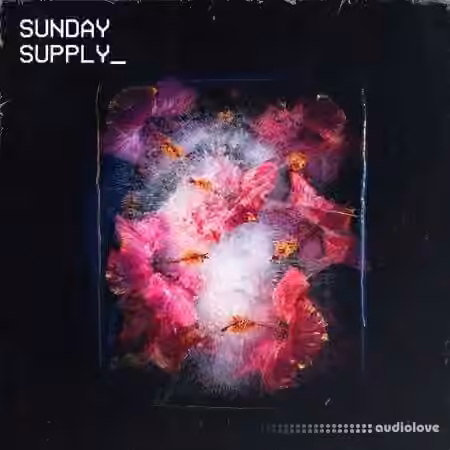 Sunday Supply Frozen Bloom [WAV]