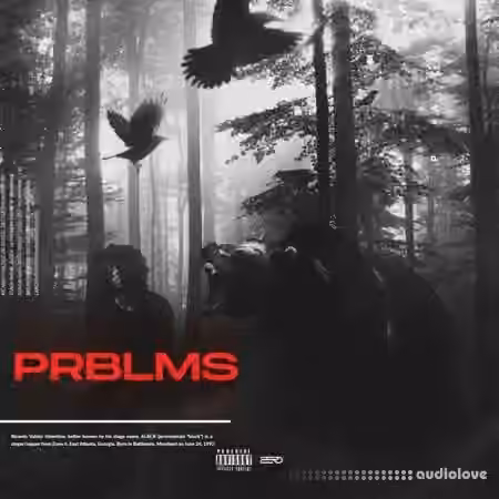 Sxbersounds PRBLMS Multi Kit [WAV, MiDi]