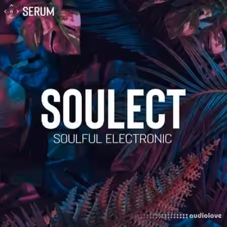 SynthHacker Soulect For Serum [Synth Presets, MiDi]