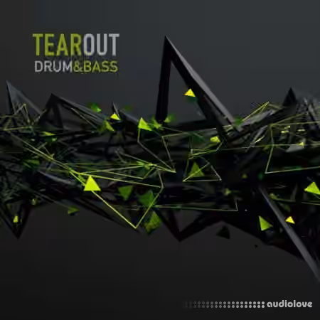 Taelimb Tearout DnB [WAV, Sampler Patches]