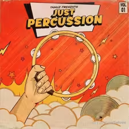 Tamuz Just Percussion Vol.1 [WAV]