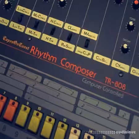 TapesOnToast 808 Drum Kit [WAV]