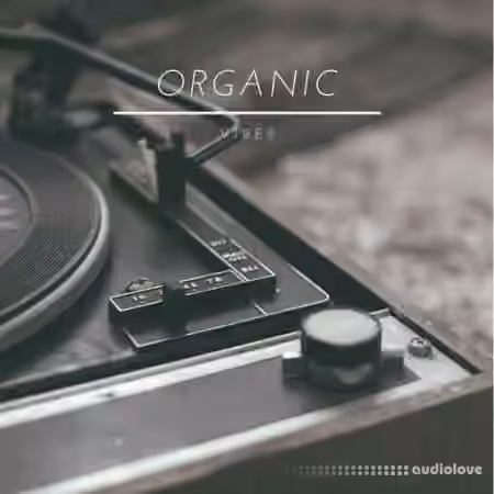 Tariq Ali Organic Vibes [WAV]