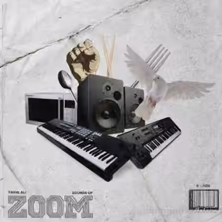 Tariq Ali Sounds Of Zoom [WAV]