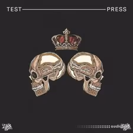 Test Press Jackin Bass House [WAV, Synth Presets]