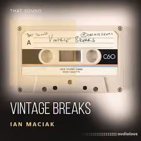 That Sound Vintage Breaks [WAV]