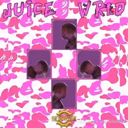 The Drum Bank Juice Wrld [WAV, MiDi]