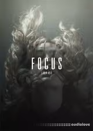 The Kit Plug Focus (Loop Kit) [WAV]