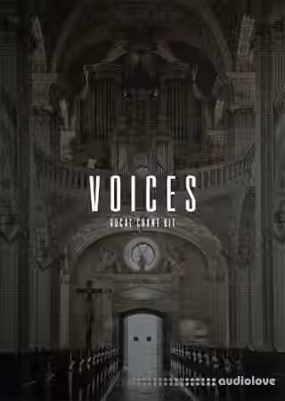 The Kit Plug Voices (Vocal Kit) [WAV]