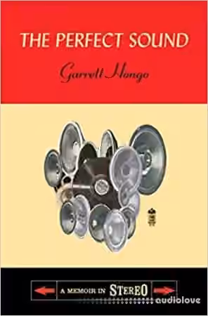 The Perfect Sound: A Memoir in Stereo