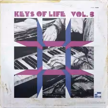 The Sample Lab Keys Of Life Volume 3 (Compositions) [WAV]