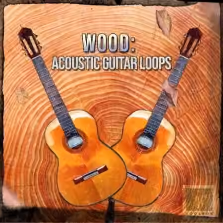 Toolbox Samples Wood Acoustic Guitar Loops [WAV]