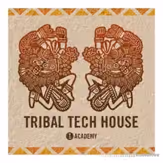 Toolroom Academy Tribal Tech House [WAV]