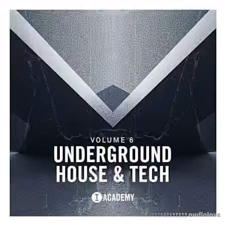 Toolroom Underground House and Tech Vol.6 [WAV]