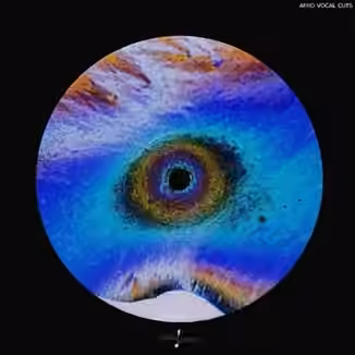 Touch Loops Afro Vocal Cuts [WAV]