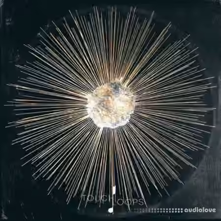 Touch Loops Dusty Projections [WAV]