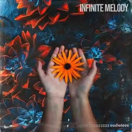 Touch Loops Infinite Melody [WAV]