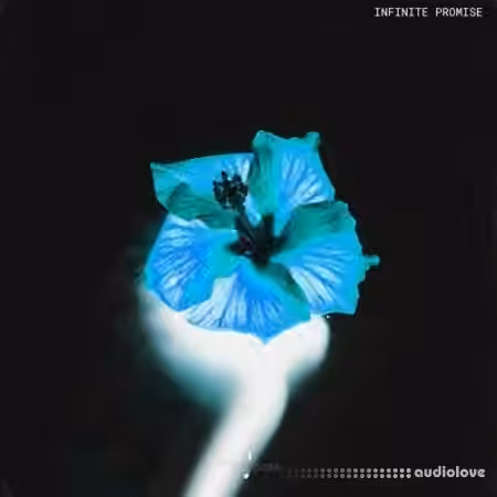 Touch Loops Infinite Promise [WAV]