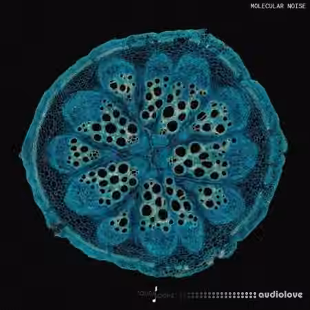 Touch Loops Molecular Noise [WAV]
