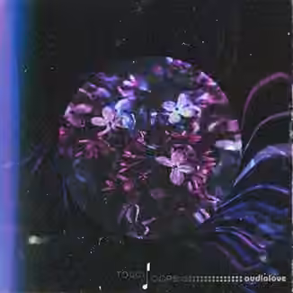 Touch Loops Organic House [WAV, MiDi]