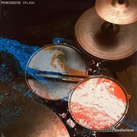 Touch Loops Percussive Splash [WAV]