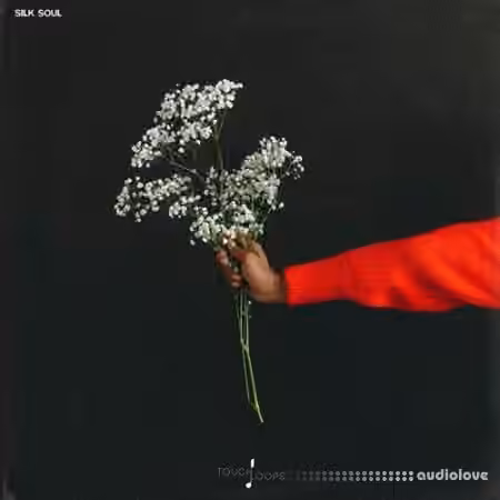 Touch Loops Silk Soul [WAV, MiDi]