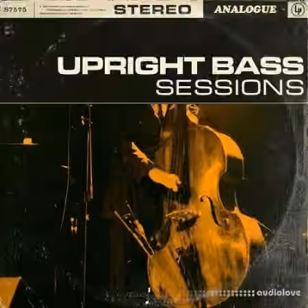 Touch Loops Upright Bass Sessions [WAV]