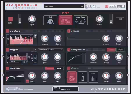 TOURAGE DSP Croquesolid v1.1.1 [WiN]