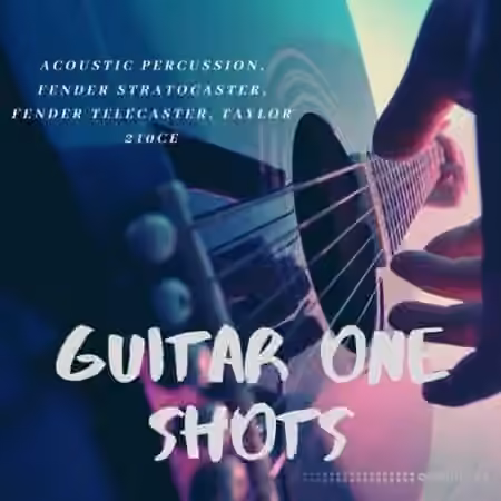 Toxic Samples Guitar One Shots [WAV]