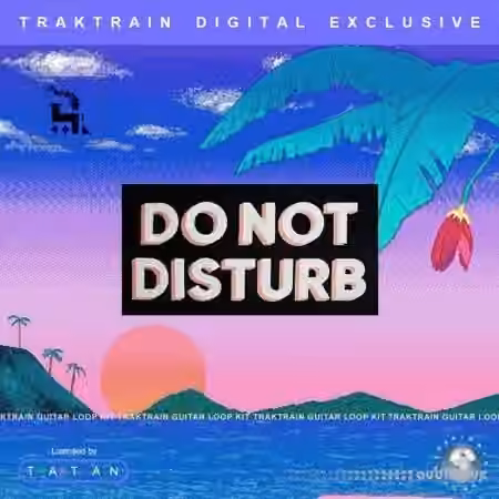TrakTrain Do Not Disturb Guitar Loop Kit [WAV]