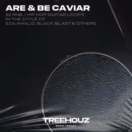 Treehouz Are and Be Caviar [WAV]