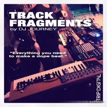 Trip Digital Track Fragments [WAV]