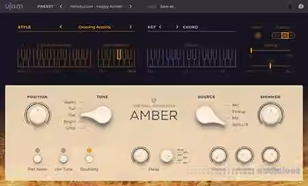 UJAM Virtual Guitarist AMBER v1.0.2 [MacOSX]