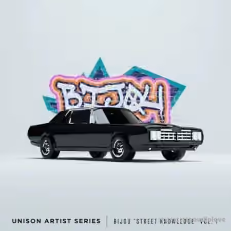 Unison Artist Series BIJOU Street Knowledge [WAV, MiDi]