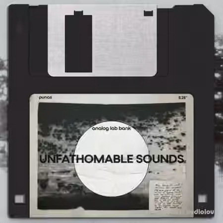 UNKWN Sounds Punas Unfathomable Sounds (Analog Lab Presets Bank) [Synth Presets]