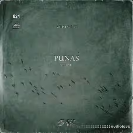 UNKWN Sounds Punas Vol.1 (Compositions and Stems) [WAV]