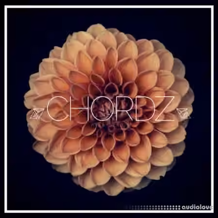 Unmute Chordz Kits [WAV, MiDi, Synth Presets]