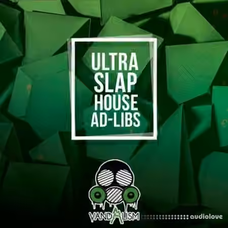 Vandalism Slap House Ad Libs [WAV]